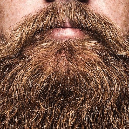One thick big red beard close up.